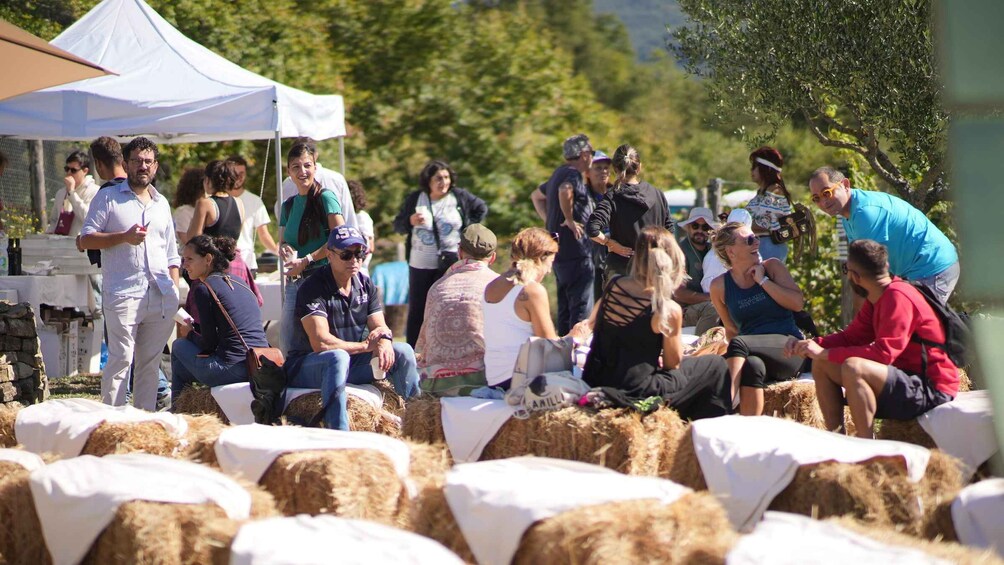 Picture 1 for Activity Moio della Civitella: Adopt a Vine and Grow Your Wine 4