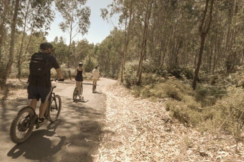 A forested path with cyclists. 2