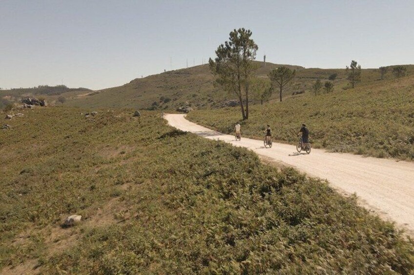 A dirt road winding through a hilly landscape with sparse vegetation and a few cyclists. 5
