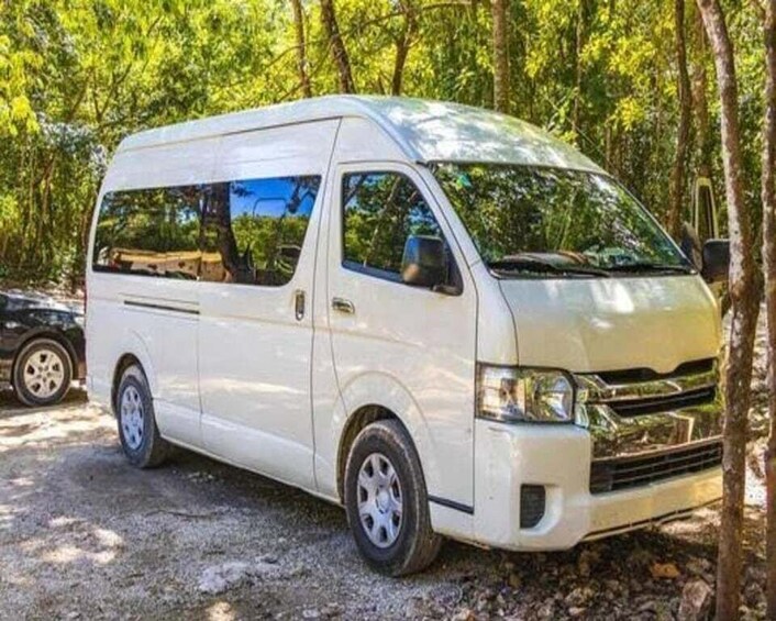 A white van parked in a wooded area. 5