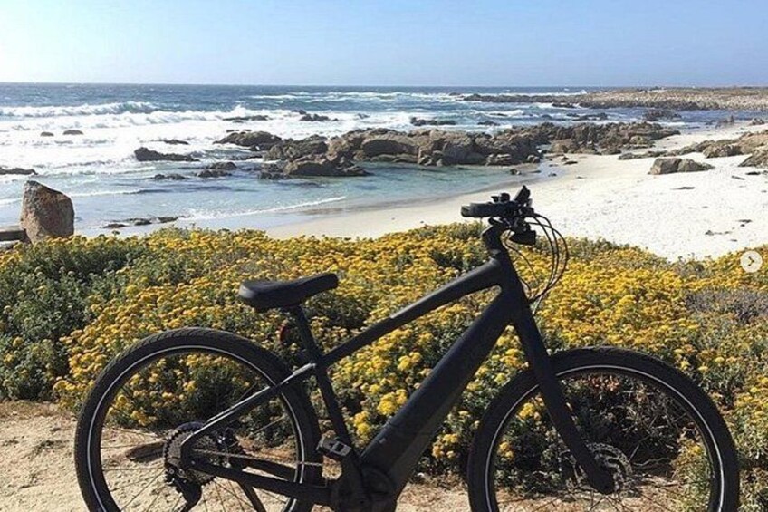 17-Mile Drive Electric Bike Guided Tour 2