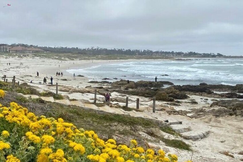 Una playa con gente caminando y un litoral rocoso. 4