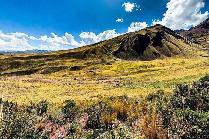 Taqrachullo Cultural and Scenic Full Day Tour from Cusco 5