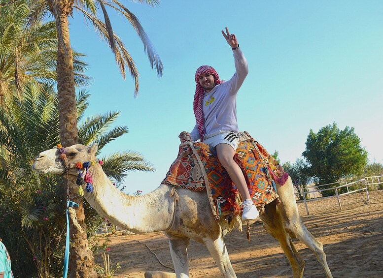 Picture 4 for Activity Quad Biking Hurghada With Optional Stargazing, Dinner & Show 4