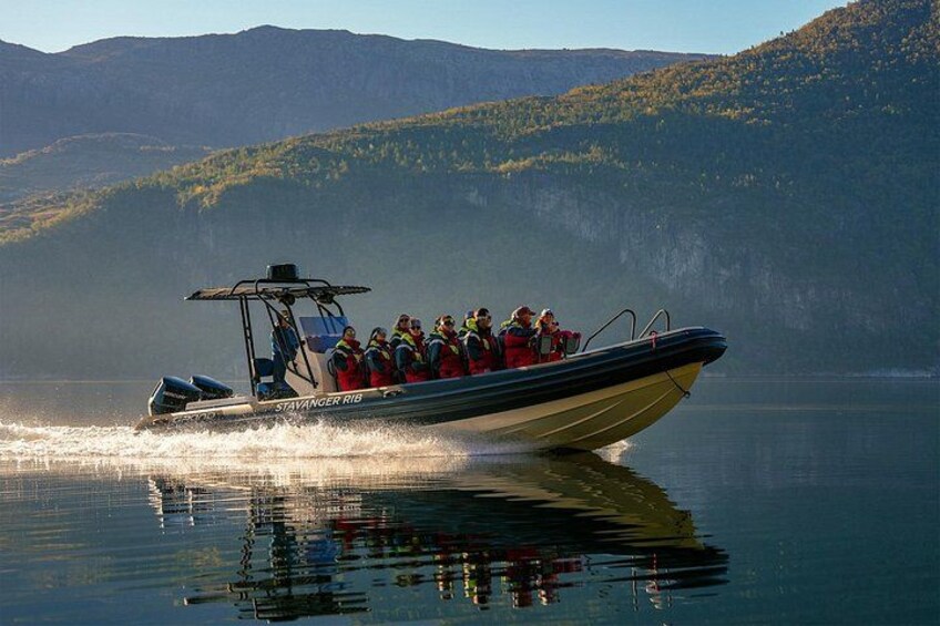 RIB-Boat Safari 3