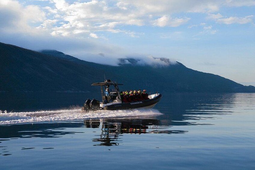 RIB driving through the fjord 2