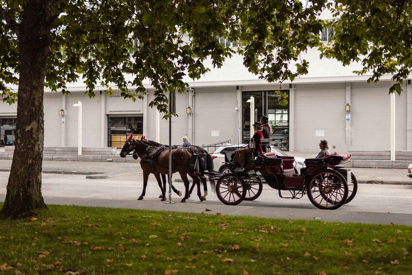 Picture 2 for Activity Salamanca Jaunt Carriage Tour 2