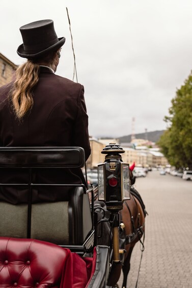 Salamanca Jaunt Carriage Tour 1