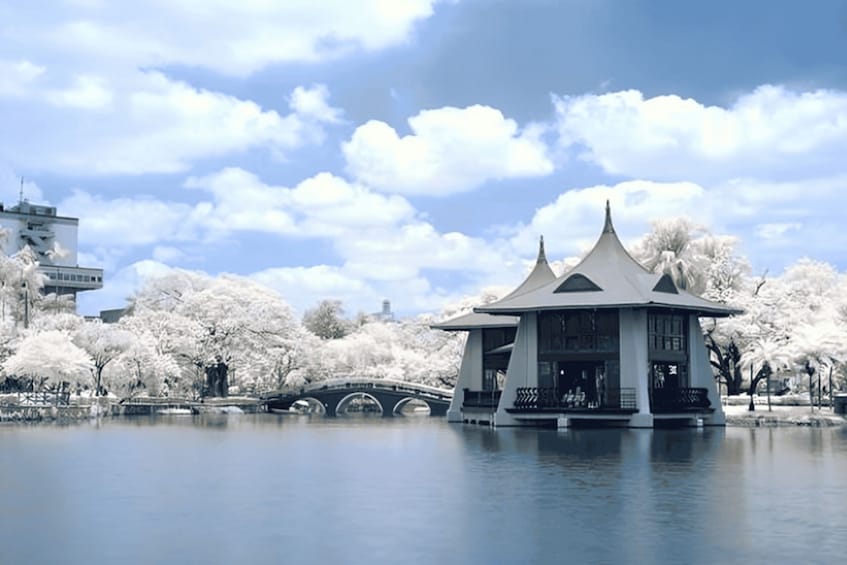 A pavilion with a pointed roof, a bridge, and cherry blossoms in a park. 1
