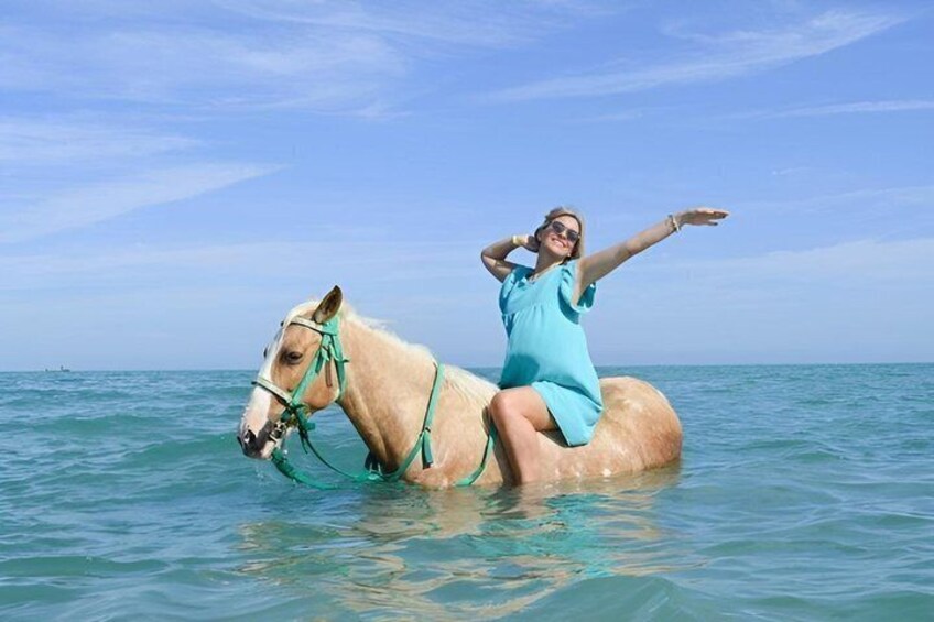 Hurghada Desert and Beach Horse or Camel Riding Adventures 2