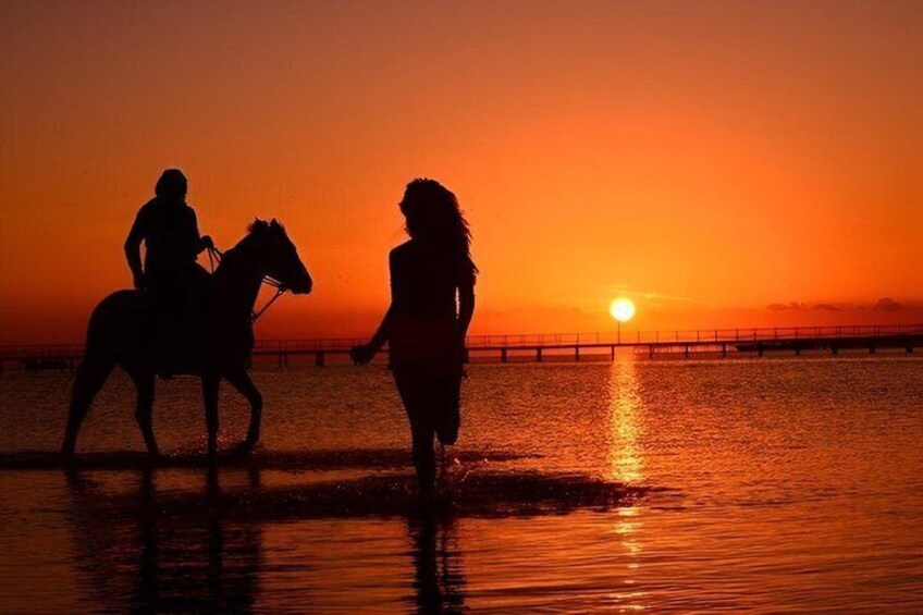 Hurghada Desert and Beach Horse or Camel Riding Adventures 4