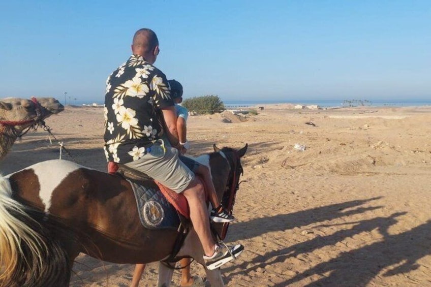 Hurghada Desert and Beach Horse or Camel Riding Adventures 1
