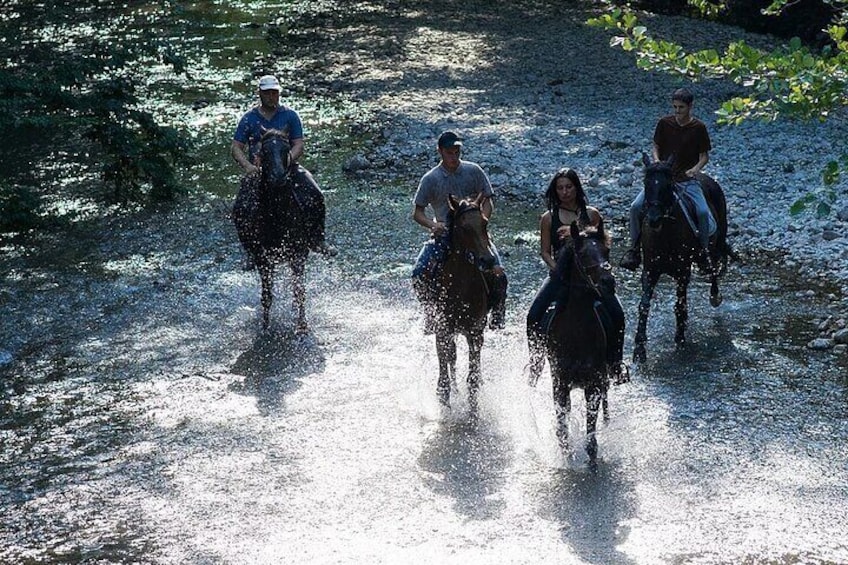 People riding horses on a river path. 4