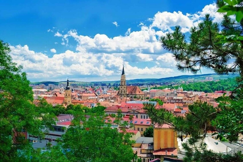 Picture 3 for Activity Cluj : Must-See Attractions Walking Tour 2