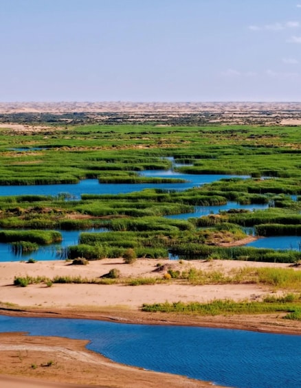 Picture 11 for Activity From Hohhot：Kubuqi Desert Off-Road Adventure with Camel Ride 3