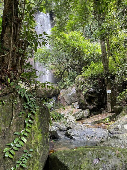 A waterfall surrounded by dense foliage and rocks. 2