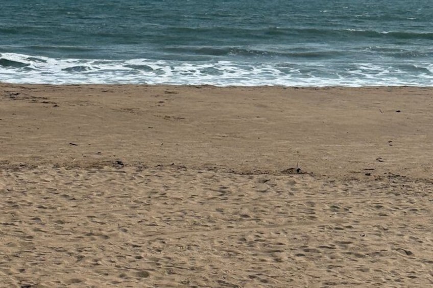 Goa Uncovered 4 Days of Beaches Heritage and Culture 2