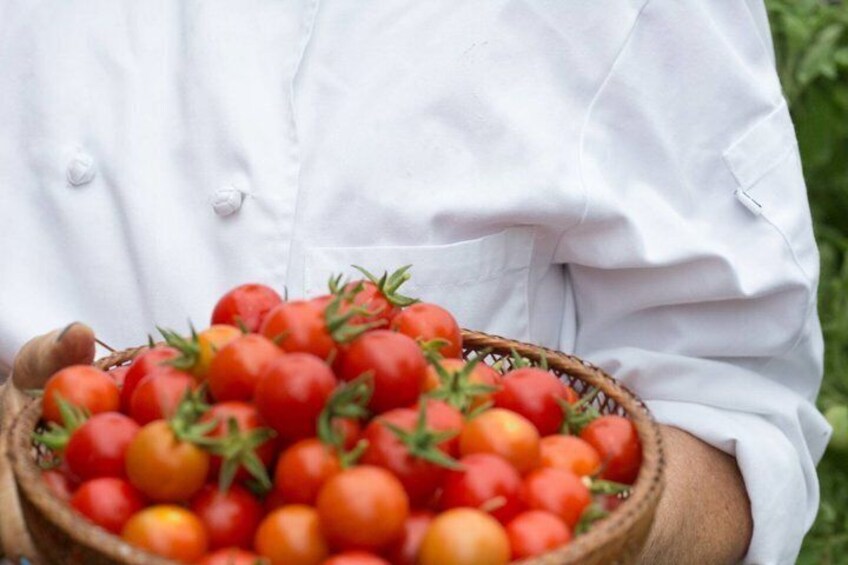 Homemade Manicotti Pasta Class in Denver (Includes 3-Course Meal) 5