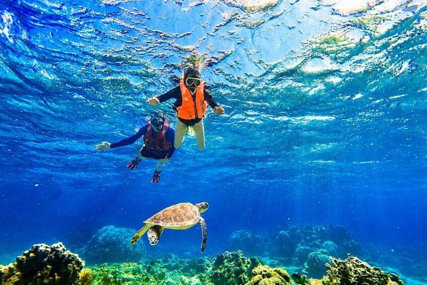 Private Ishigaki Sea Turtle Snorkeling Tour 1