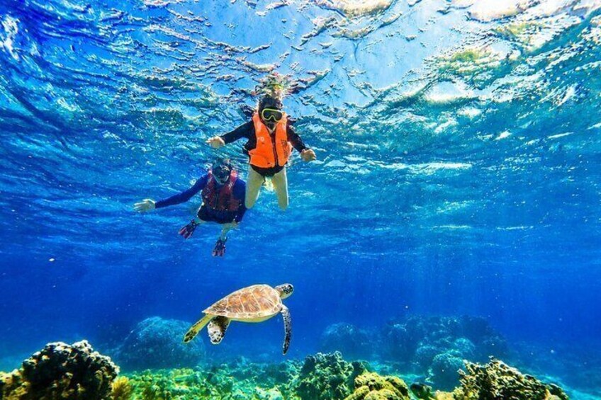 Private Beach Snorkeling and Kabira Bay Tour in Ishigaki 1
