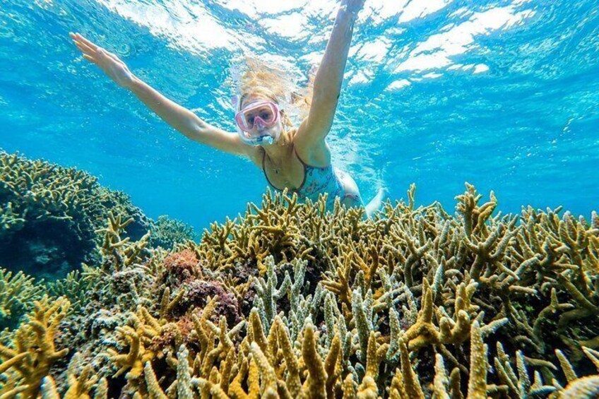 Private Beach Snorkeling and Kabira Bay Tour in Ishigaki 4