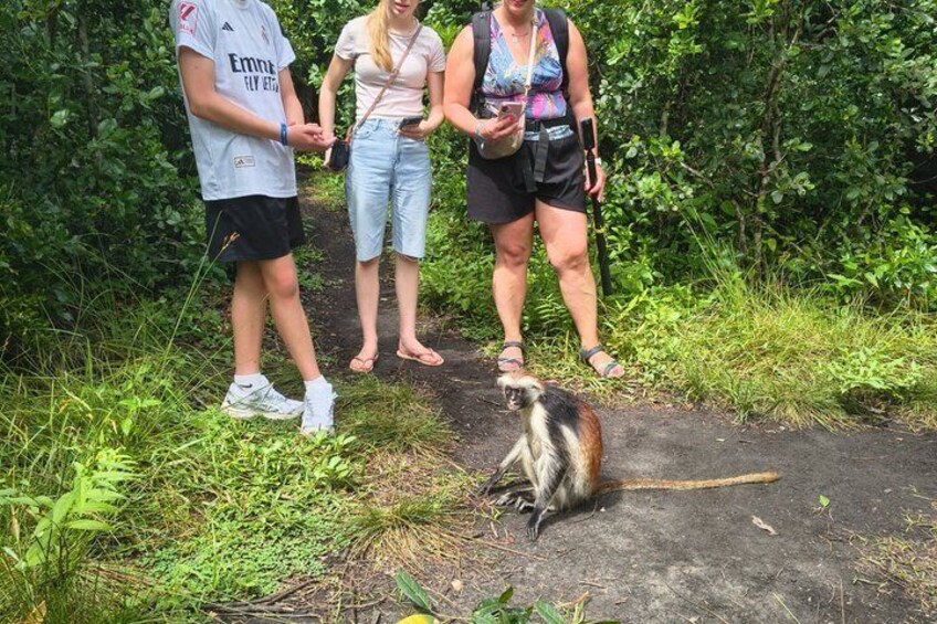 A lemur sitting on a path with three people standing nearby. 1