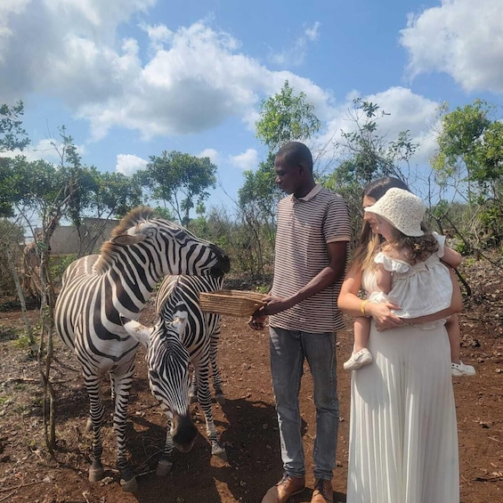 A man, a woman, and a child interacting with a zebra in a natural setting. 5