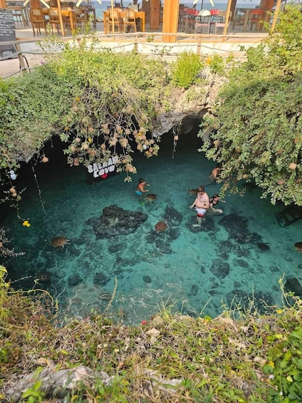 A clear blue pool with people swimming and snorkeling, surrounded by greenery and a cave entrance. 3