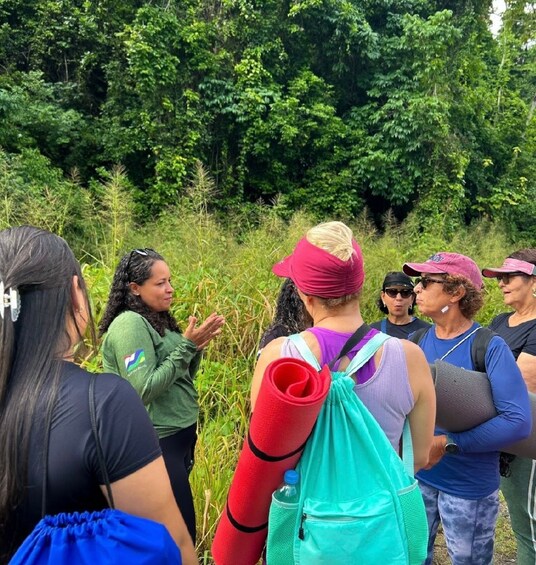 Picture 2 for Activity Fernão Velho Eco Hike: Nature, History and Atlantic Rainforest 5