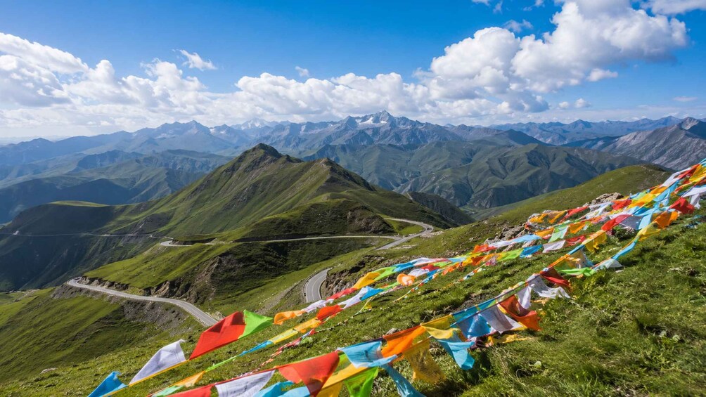 Picture 3 for Activity Qinghai Lake & Laji Mountain Small Group Day Tour 3