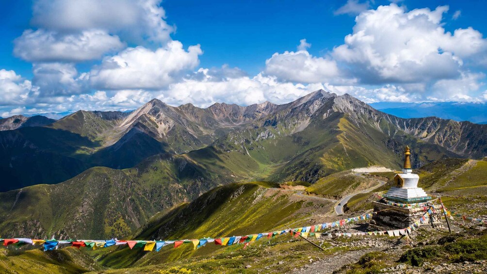Picture 2 for Activity Qinghai Lake & Laji Mountain Small Group Day Tour 2
