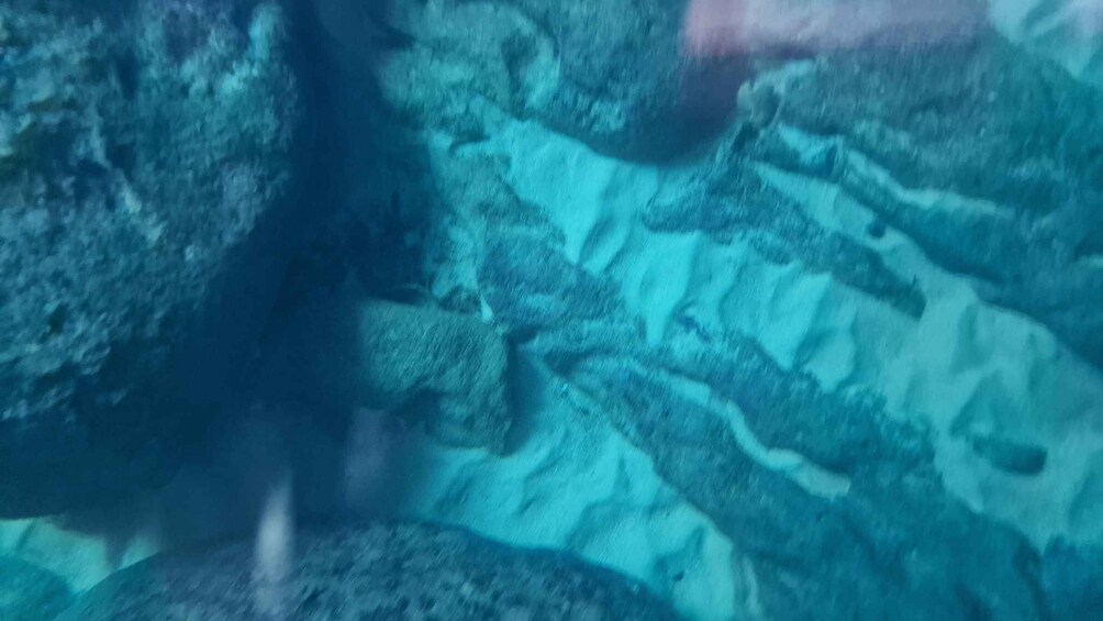 Underwater rock formations with visible striations and textures. 2
