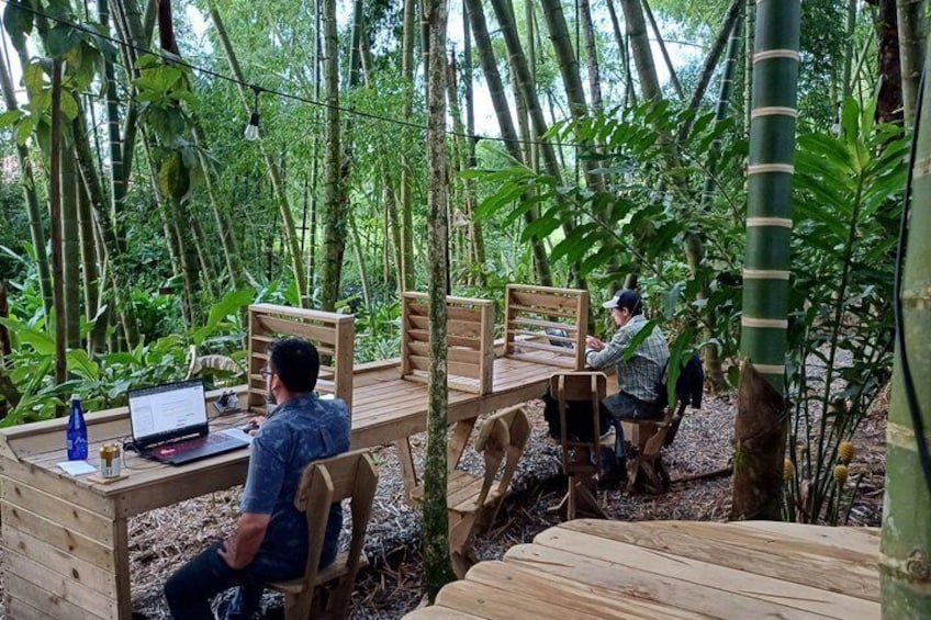 Nature Coworking Experience in Colombia's Coffee Region 1