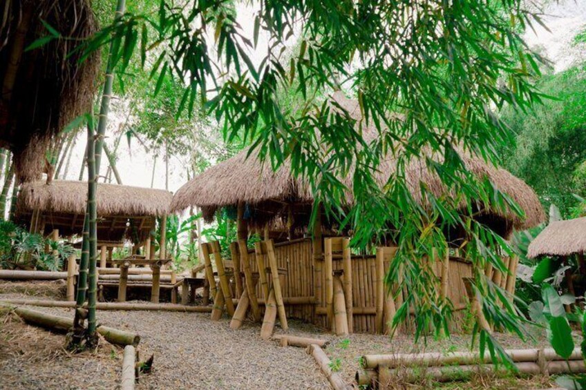 Nature Coworking Experience in Colombia's Coffee Region 2