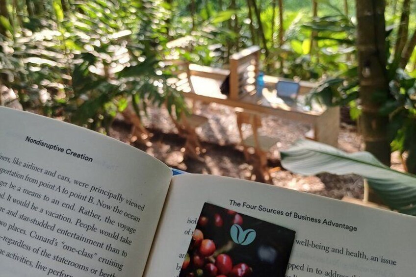 Nature Coworking Experience in Colombia's Coffee Region 5