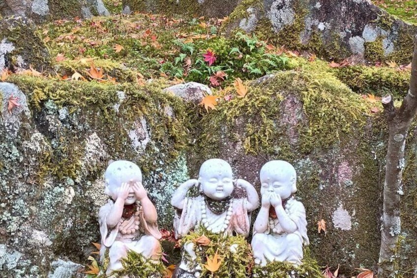 Miyajima Island Tour with Shrine and Nature 3