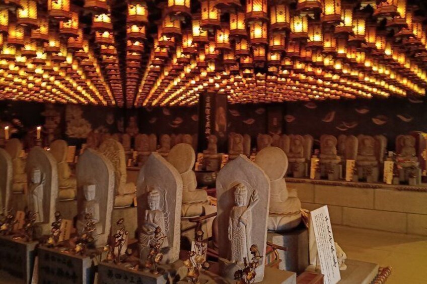 Miyajima Island Tour with Shrine and Nature 4