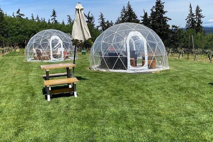 Dos cúpulas geodésicas transparentes con bancos en un campo cubierto de césped. 4