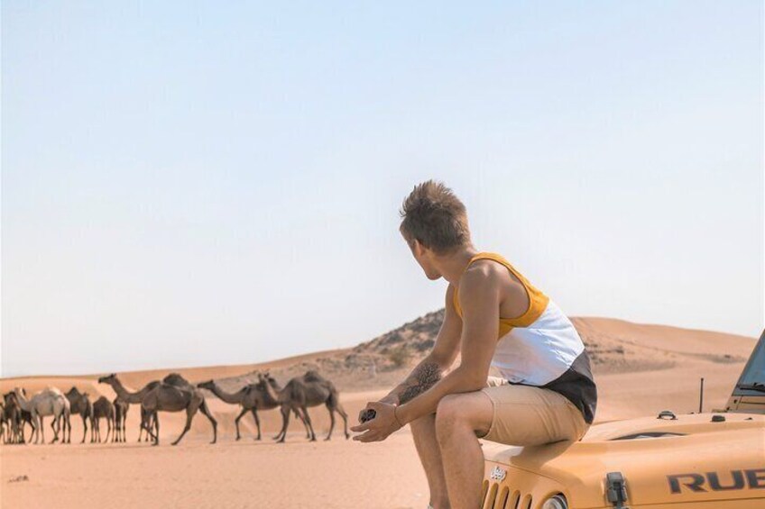 Dune Bashing Private Trip in Jeddah 5