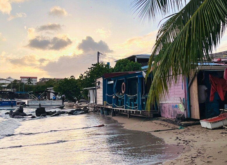 Picture 12 for Activity Sainte Luce – Jungle Feeling Tour: Flora & Fauna + Relaxation on a Secret Beach 4