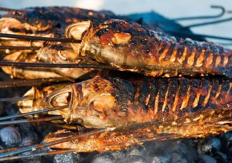 Picture 4 for Activity Maafushi: Fishing Tour with Dinner (Catch of the Day) 2
