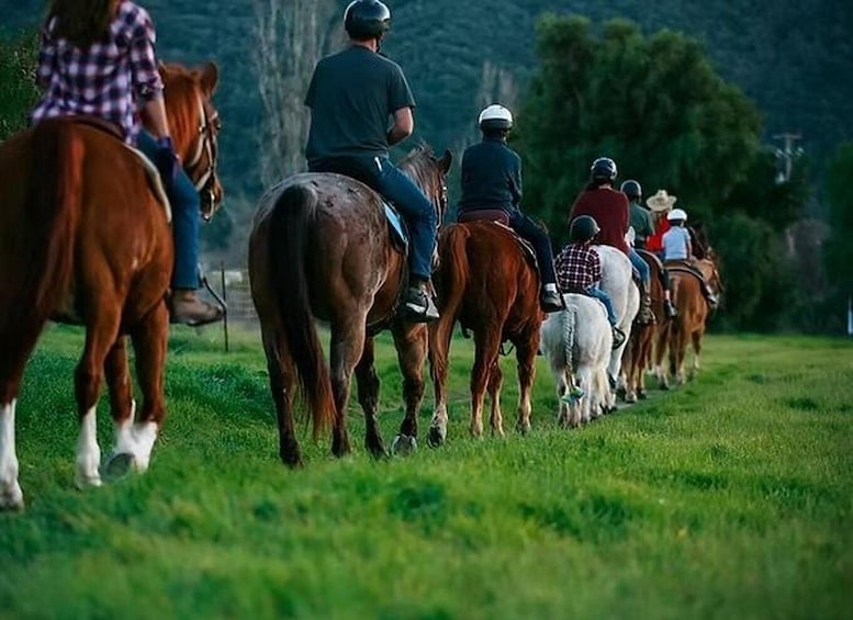 Picture 1 for Activity Santa Ynez: Scenic Horseback Trail Rides by the River 2