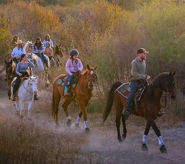 Picture 3 for Activity Santa Ynez: Scenic Horseback Trail Rides by the River 3