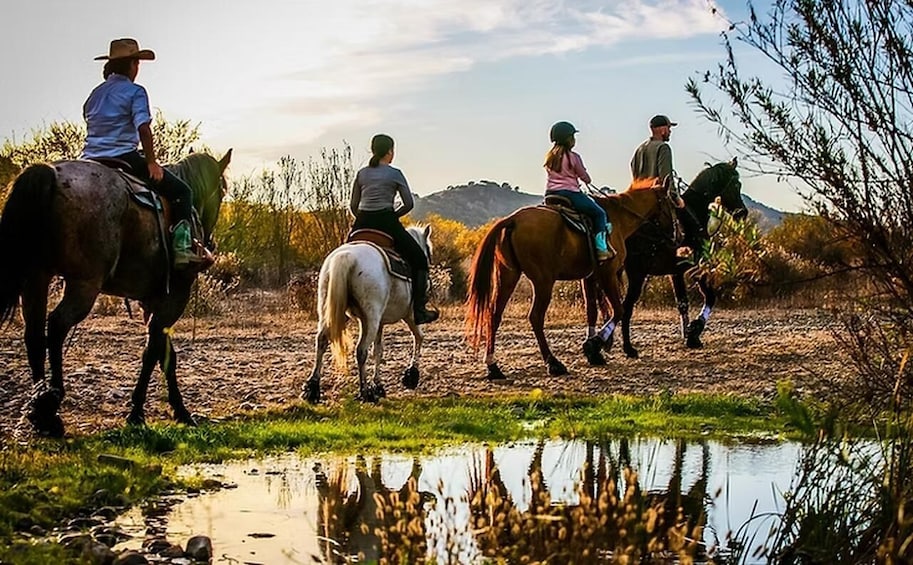 Picture 2 for Activity Santa Ynez: Scenic Horseback Trail Rides by the River 4