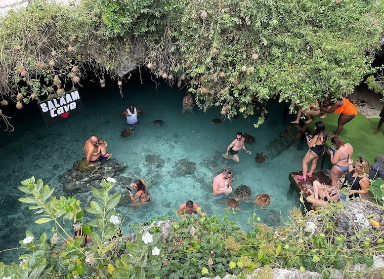 A natural pool with clear water, surrounded by lush greenery and a sign reading 'Salaam Cave'. 3