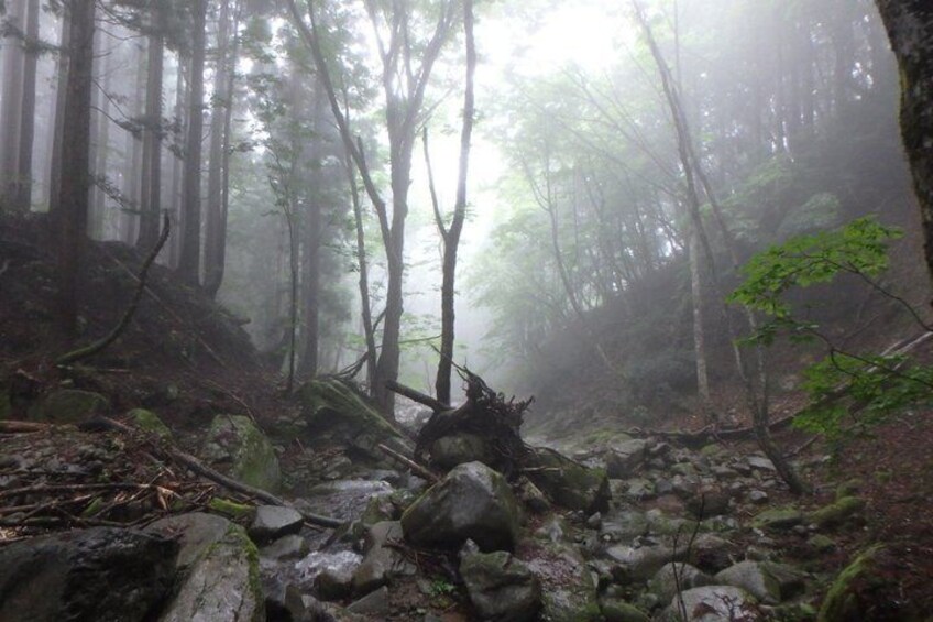 Clear stream trekking in Tottori 3