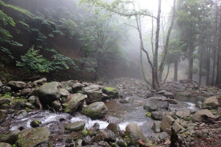 Clear stream trekking in Tottori 1