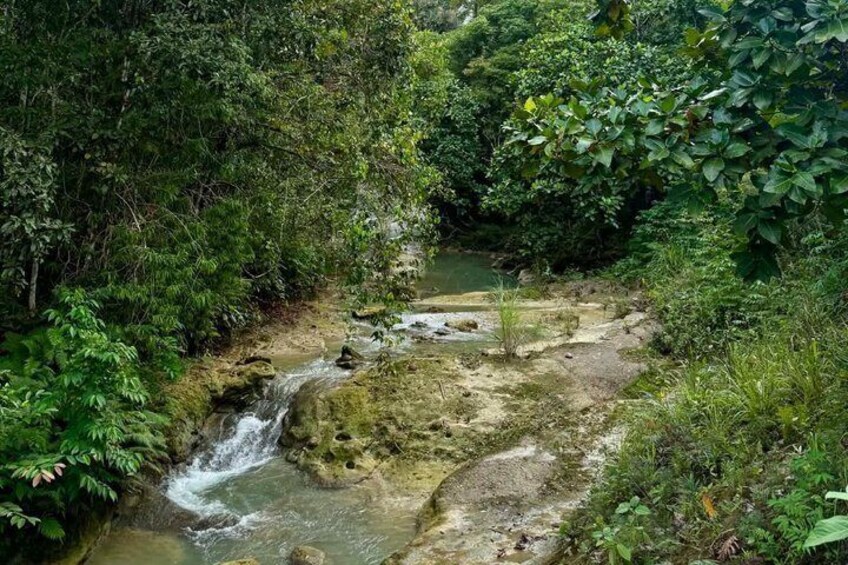 Bohol Highest Waterfalls with Local Guide 2