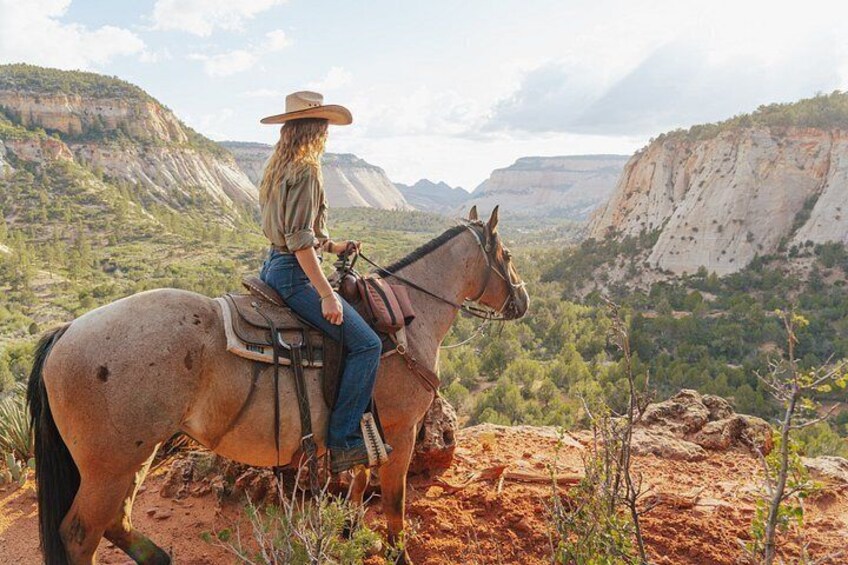 A person riding a horse on a rocky terrain with a mountainous landscape in the background. 1