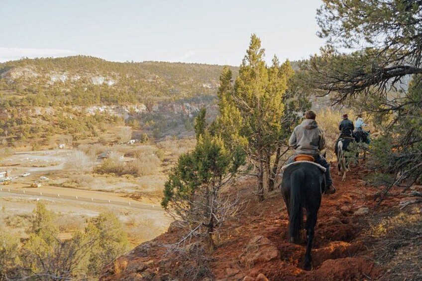 A person riding a horse on a dirt trail surrounded by trees and hills. 3